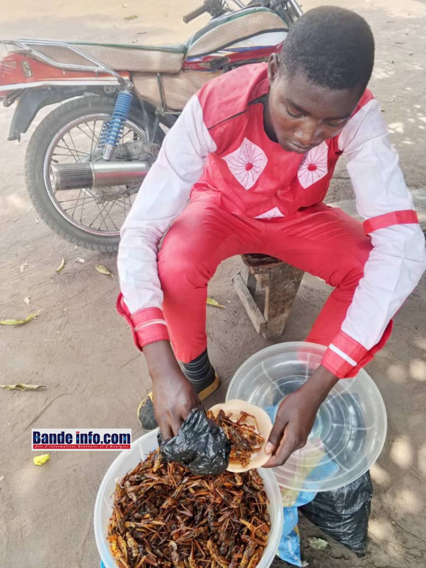 Doba : Beodjim Omega, l'élève vendeur de criquets rôtis