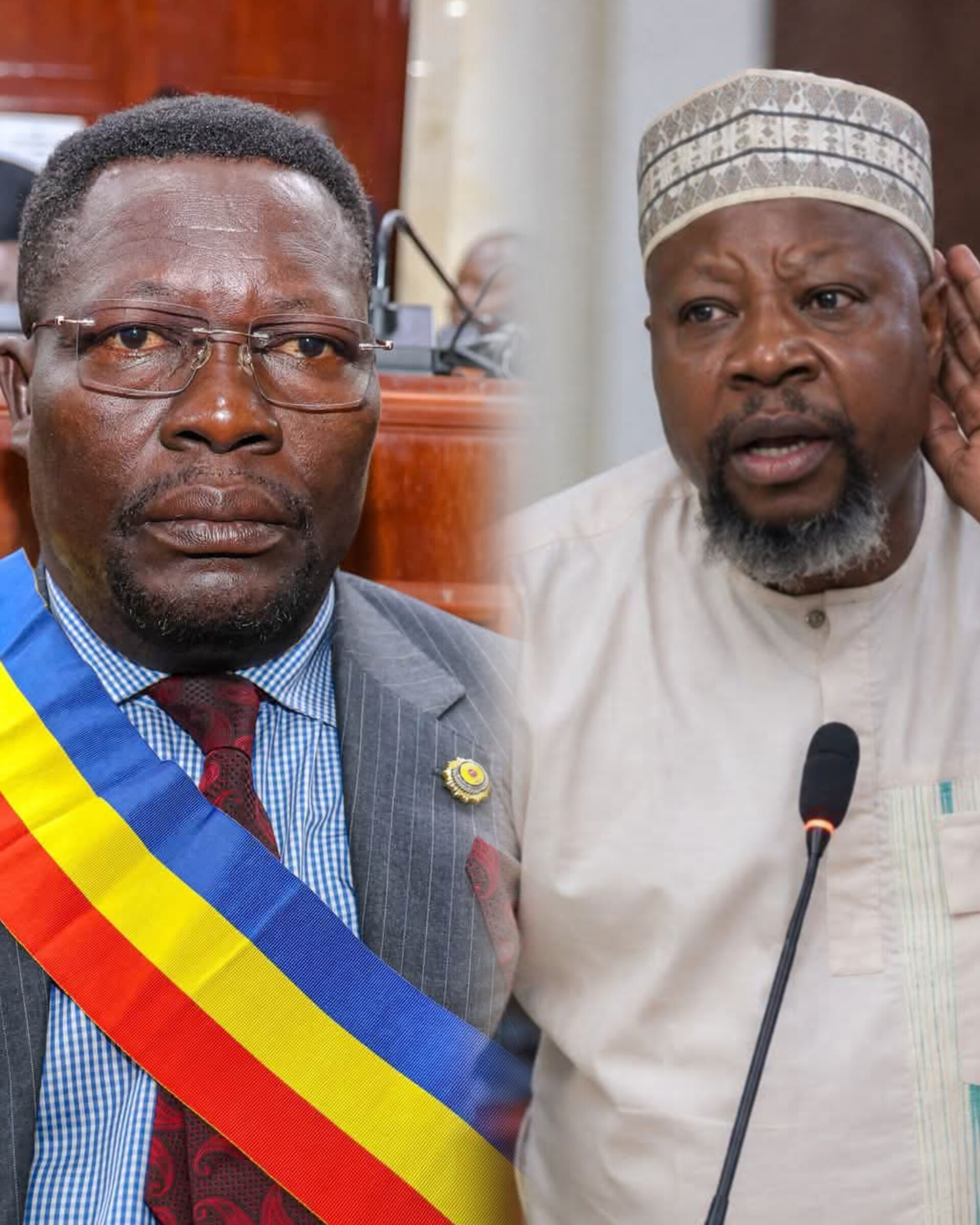 Tchad: Le groupe parlementaire alliance républicaine dénonce l'agression verbale contre un député