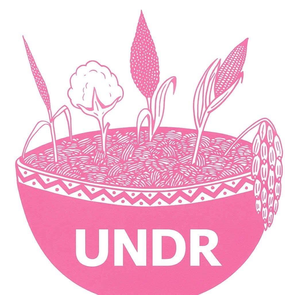 L’UNDR dit non à un nouveau dialogue réclamé par Succès Masra