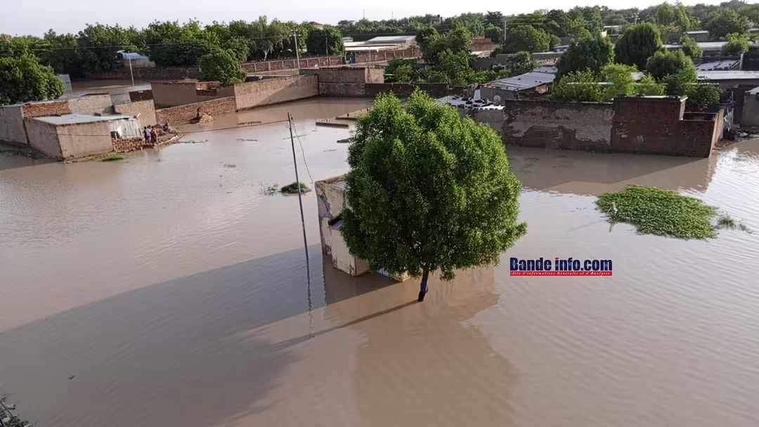 Tchad : déficit pluviométrique inquiétant dans le Centre-Nord, le Sud proche de la normale