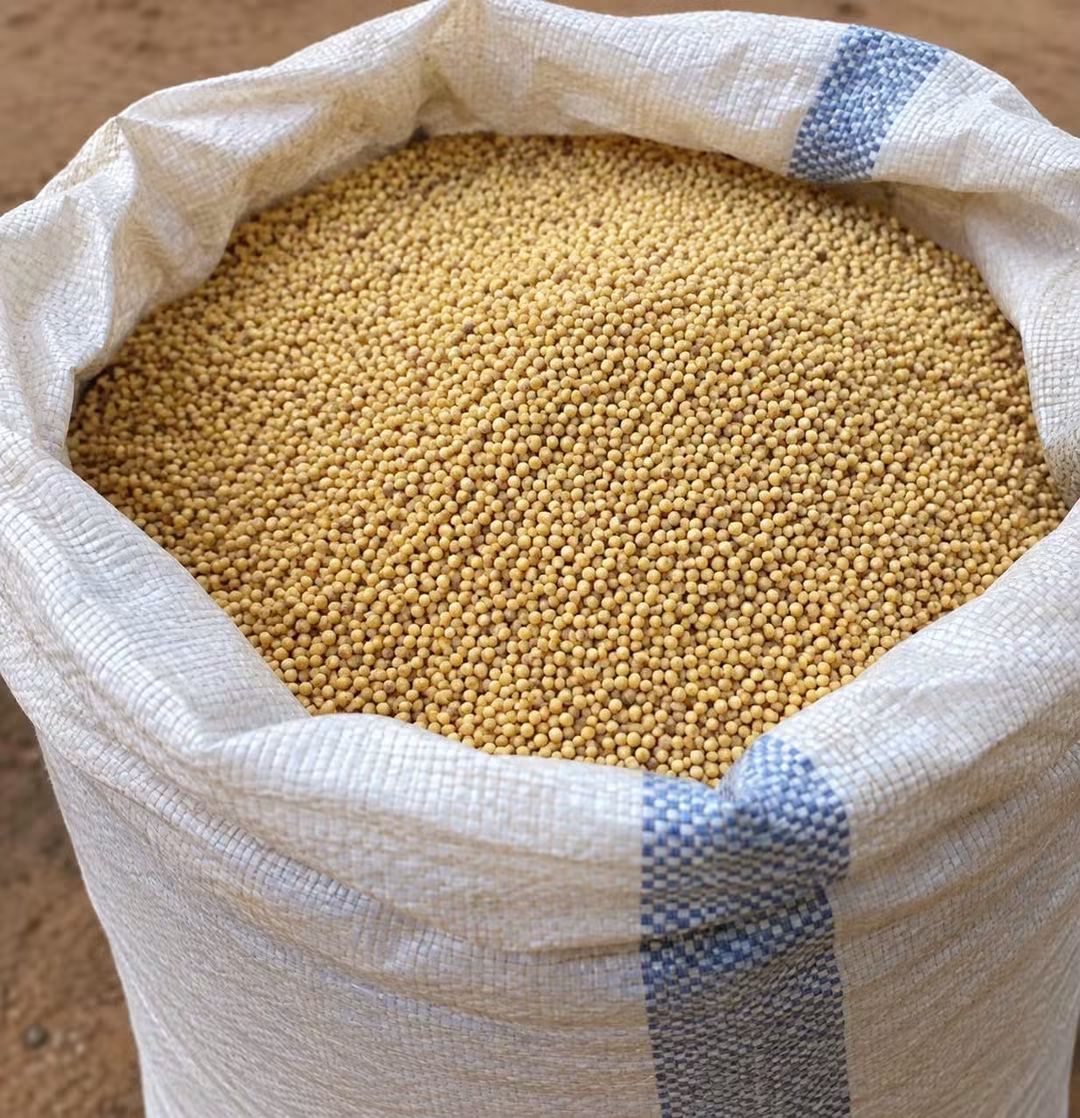 Tchad: Le gouvernement interdit l'exportation des céréales et es graines