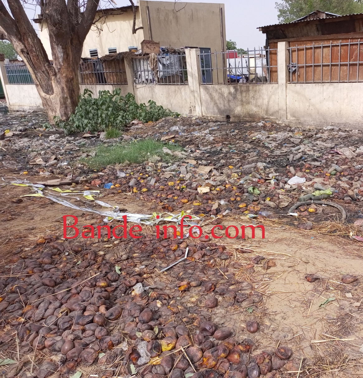 TCHAD: MARCHÉ TARADONA DE N'DJAMÉNA UN VÉRITABLE DÉPOTOIR