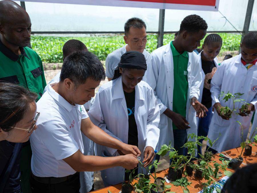 (Multimédia) Le 15e Plan quinquennal de la Chine apporte de nouvelles opportunités pour la coopération sino-africaine